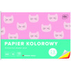 Papier kolorowy A4 10 kartek 115g