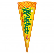 Kaktus Cone Lody ze śmietanką i sorbet mango-marakuja 110 ml