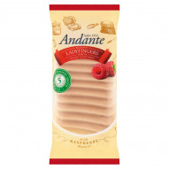 Andante Biszkopty Ladyfingers o smaku malinowym 220 g (2 x 110 g)