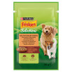 Friskies Selections Karma dla dorosłych psów w sosie z kurczakiem i marchewką 85 g