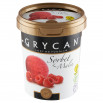 Grycan Sorbet z malin 500 ml